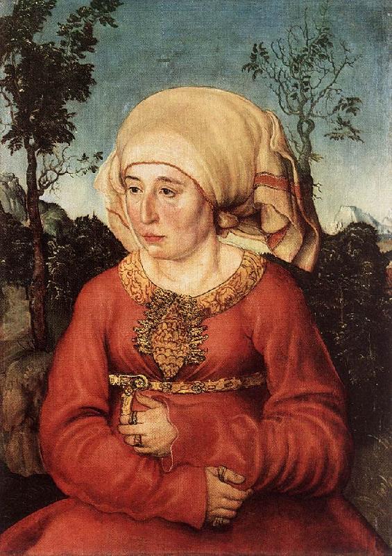 CRANACH, Lucas the Elder Portrait of Frau Reuss dgg oil painting image